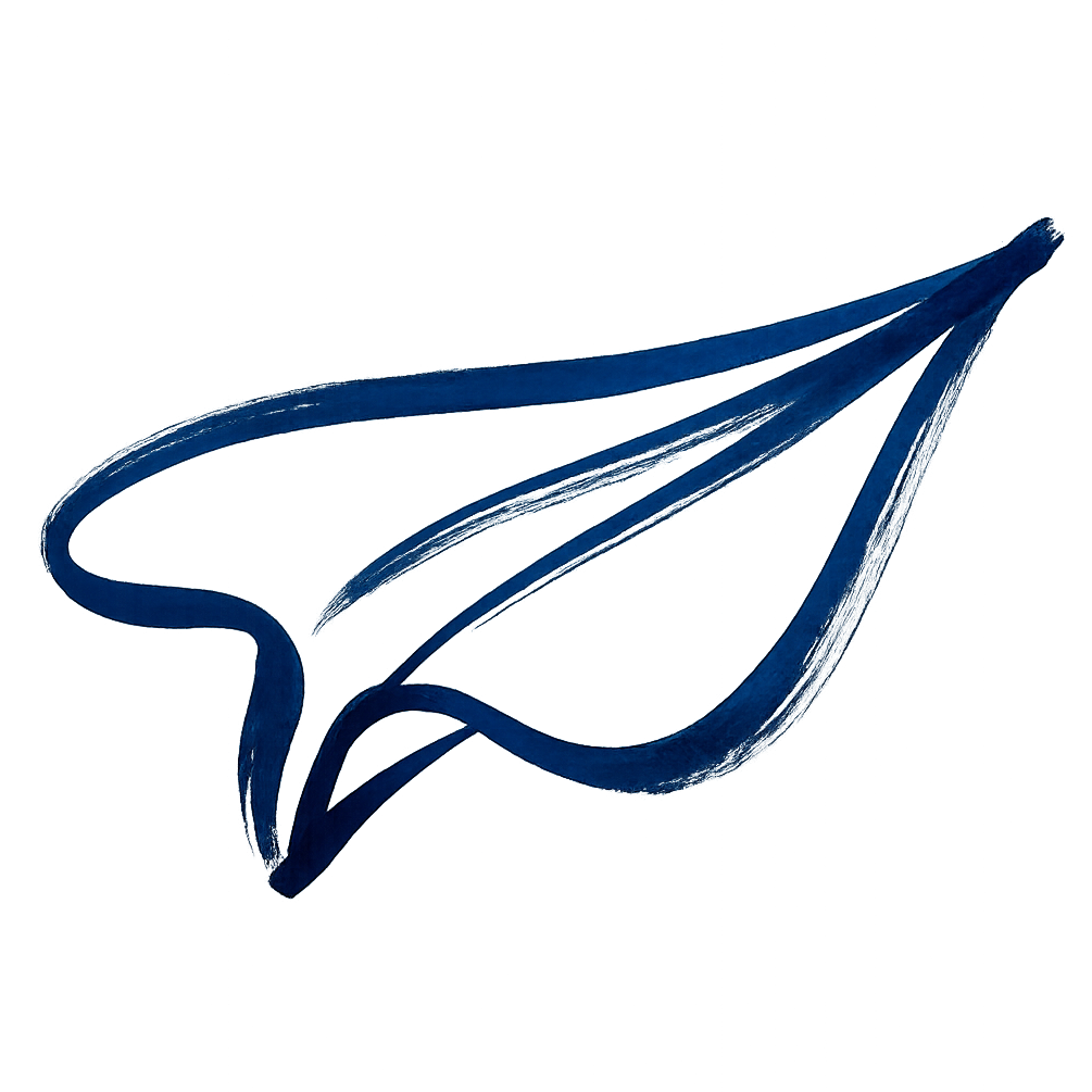 Mermoz logo